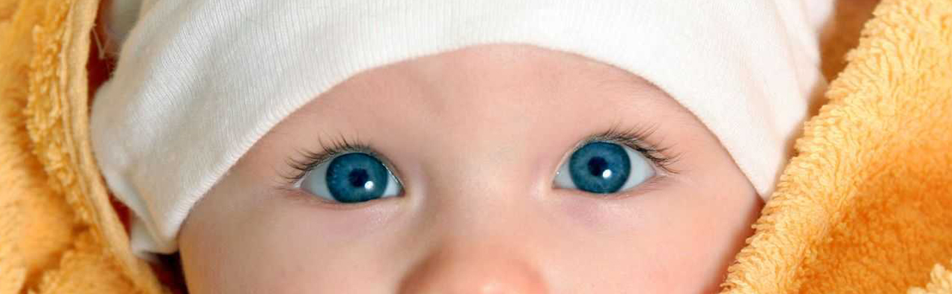 lorem ipsum dolor sit